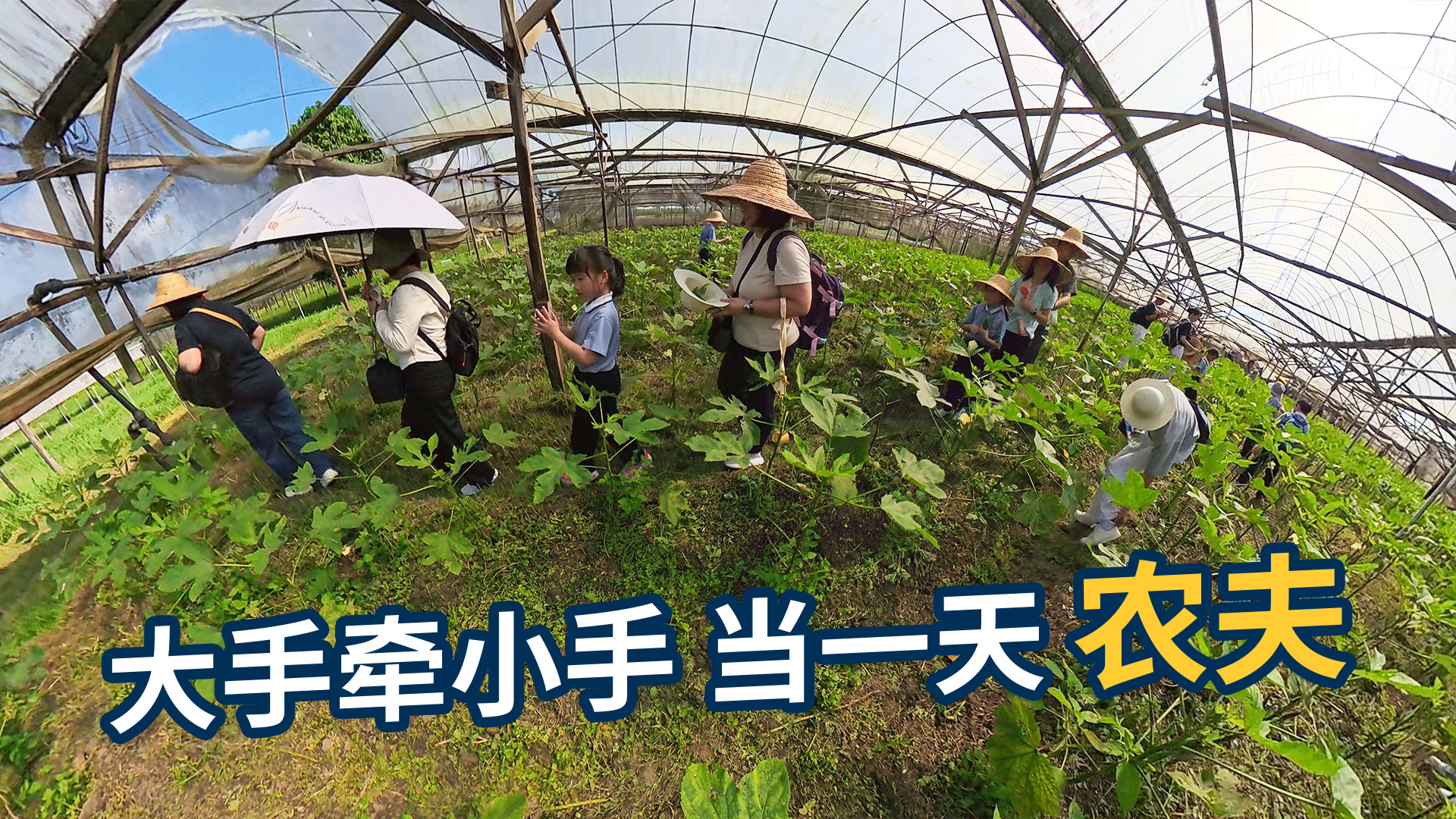 大手牵小手 当一天农夫